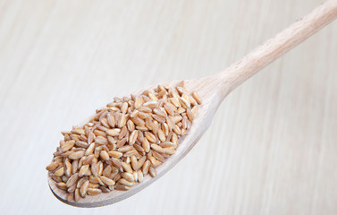 dried spelt on a wooden spoon