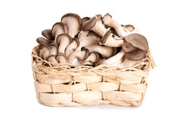 oyster mushrooms