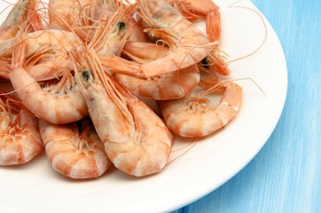 Gambas