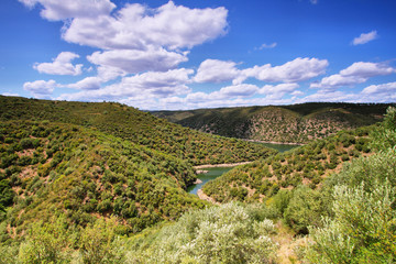 Fototapeta na wymiar Tajo rzeki niedaleko wioski Herrera de Alcántara