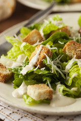 Healthy Green Organic Caesar Salad