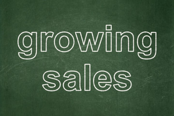 Obraz premium Business concept: Growing Sales on chalkboard background