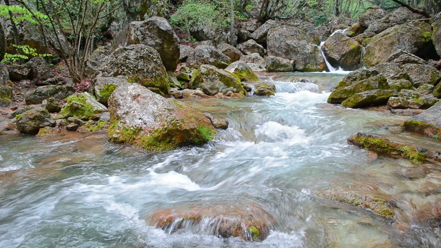 Mountain River. Spring melt-water flowing in a mountain forest