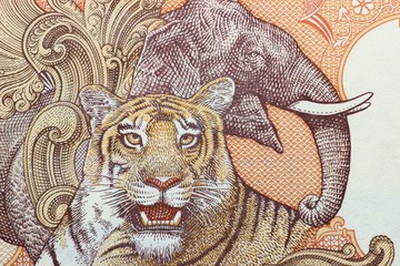 indische 10 Rupien Banknote