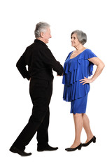 Portrait of a happy elderly couple