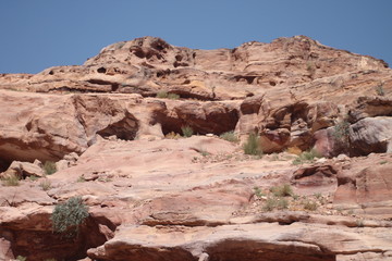 Fototapeta premium Viaje a Petra