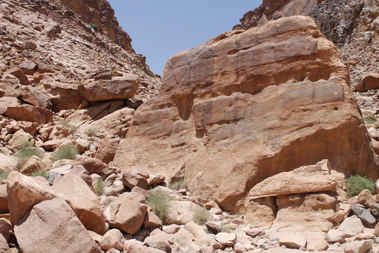 Piedras del desierto
