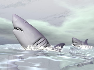 Sharks - 3D render