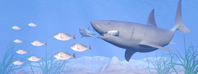 Shark eating - 3D render