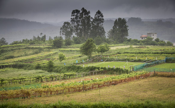 farmland