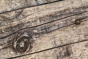 Old Knotted Cracked Rough Textured Plank - Detail