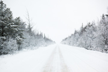 Winter road in a forest