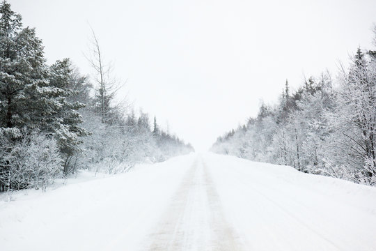 Fototapeta Winter road in a forest