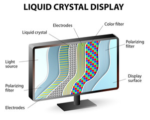 Cross-section of an LCD display - obrazy, fototapety, plakaty