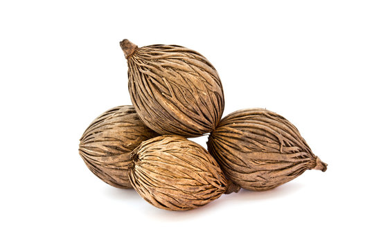 cerbera odollam's seed, Pong pong seed in white background