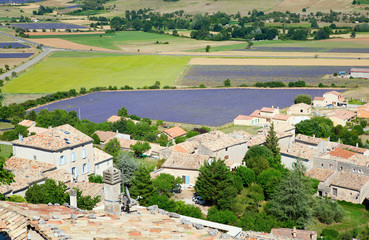 Fototapeta na wymiar Aerial view of lavender fields in France