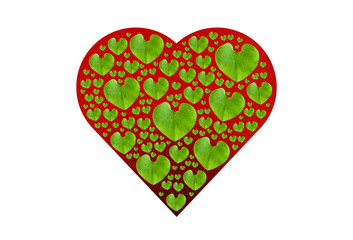 Green leaf in red heart shape, isolated with clipping paths on w