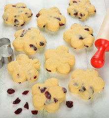 Raw dough with dried cranberries