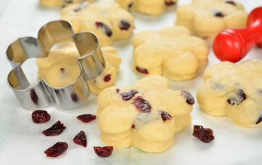 Raw dough with dried cranberries