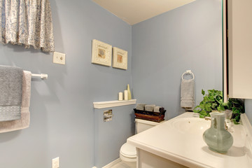 Simple light blue tones bathroom