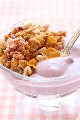 ブルーベリーヨーグルトとグラノーラ