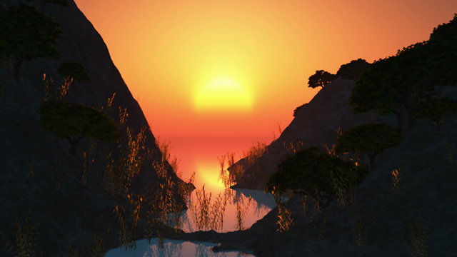rising sun and trees at ocean