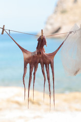 Dried Octopus