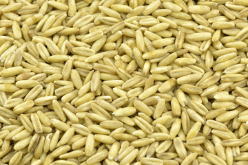 Obraz premium Oat seeds