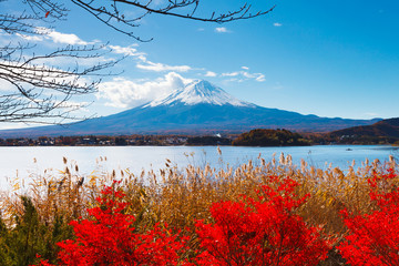 Fototapety  Mt. Fuji jesienią