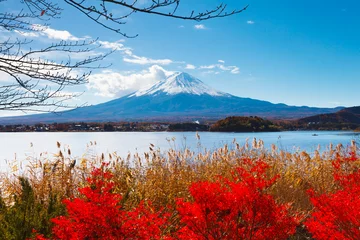 Fotobehang Mount Fuji in de herfst © leungchopan