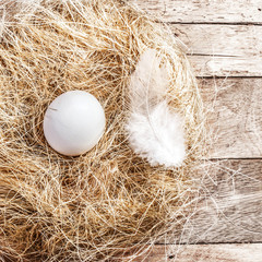 Easter nest with White Egg and feather on wooden background with