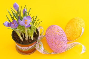 Obraz na płótnie Canvas Eggs, Crocuses, Easter
