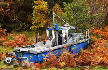 Abandonned ship wreck