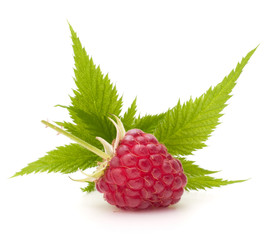 Sweet raspberry isolated on white background cutout