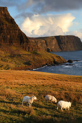 Obraz premium View of Neist Point, Highlands of Scotland, Europe