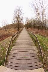 Obraz premium Wooden bridge