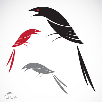 Vector image of an crow