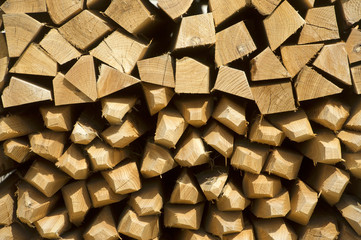 Pile of wine stakes - Wood