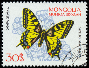Fototapeta na wymiar Mongolia - OKOŁO 1963: Stempel drukowane w Mongolii pokazuje butterf