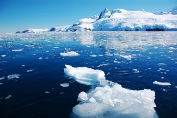 Fototapeten Antarktis © nyankotoasobu