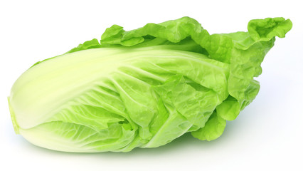 Fresh chinese cabbage