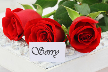 Sorry card with red roses