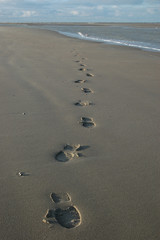 spuren im Sand