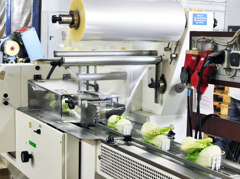 Packaging machine food industry
