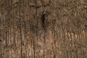 Obraz premium Wooden background.