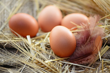 Frühstückseier