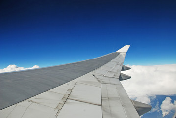 plane wing