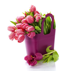 Pink tulips