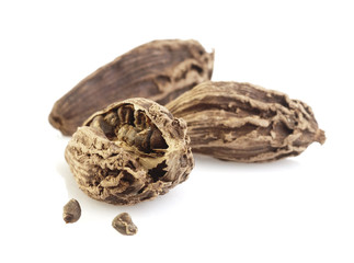 Black cardamom pods