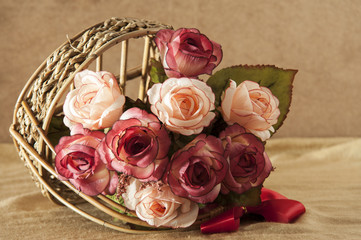 rose flowers